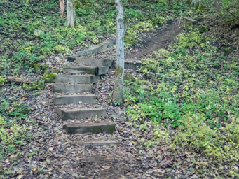 First of many stairs