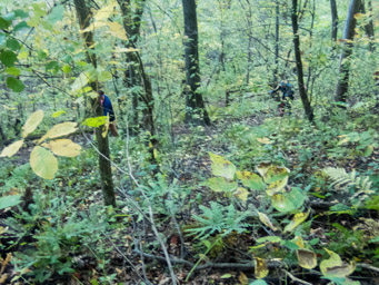Runners coming up the swtichbacks