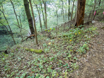 Steep metal steps down. The Julian Dubuque Memorial hill is done.