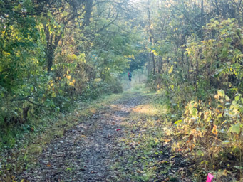 Runners on the trail to Horseshoe Bluff