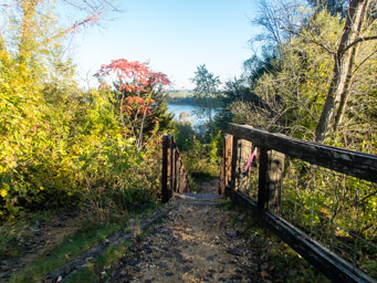 Steel steps down Horseshoe Bluff
