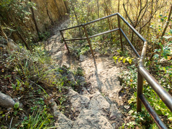 Stone steps with handrail