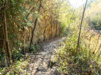 More steps down the Bluff