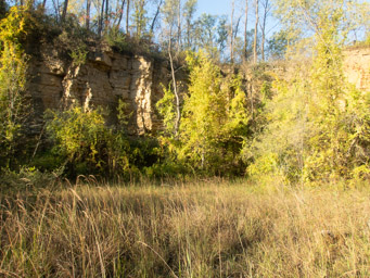 Cliffs of Horseshoe Bluff