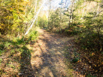 Trail through Horseshoe Bluff
