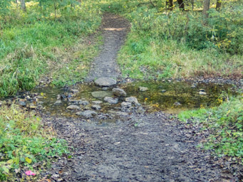 Stream crossing