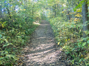Climb up an easy trail