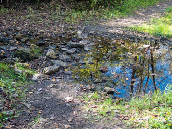 Stream crossing on the way to AS2