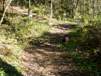 AS2 out and back rejoining the main trail