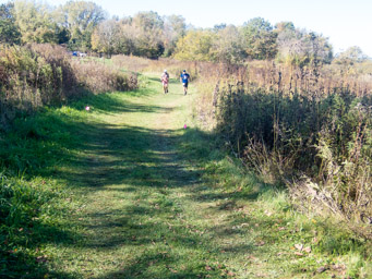 Runners on grassy trails