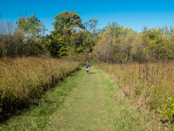 Another runner on the grassy trail