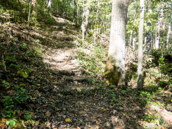 And more stone steps
