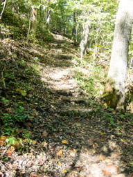 Stone steps heading up