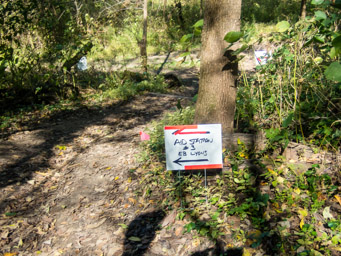 The lollypop loop to AS3