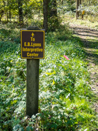 Getting closer to AS3