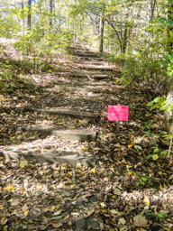 AS is at the top of the hill