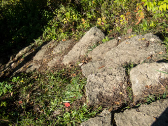 Stones steps down, leaving the AS