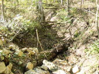 Gully seen from the bridge