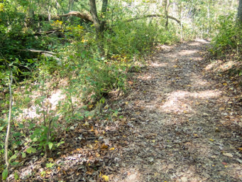 Finally, trail with no steps