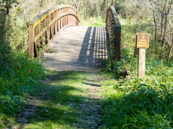 Bridge over Catfish Creek