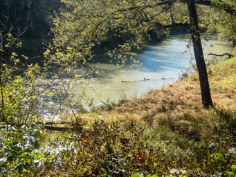 Catfish Creek in the sun