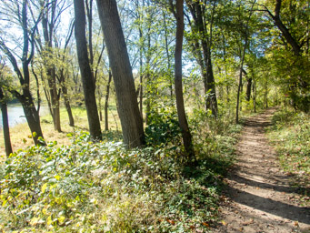 Catfish Creek Loop. Put away camera for the endless steps up and down from the ridge.