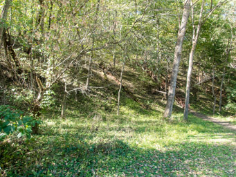 Steep steel steps up Dubuque Monument Hill, Second last climb