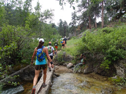 Luxury, a bridge. Do you see the photographer? I didn't  until I saw this photo.