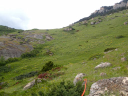 Still more climbing.