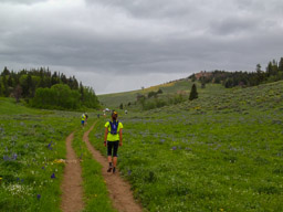 Upper Sheep Creek Aid Station in the distance.
