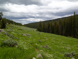 Runners (walkers) and the clouds.