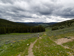 Descending towards Dry Fork Aid Station.