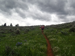 Really forbidding clouds. The rain will start within in two hours.