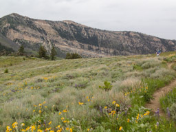 Climbing over another ridge.