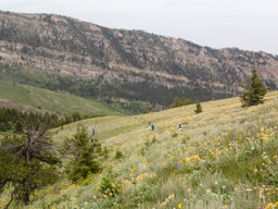 Dropping down towards Footbridge