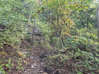 Trail, winding through the rock formations.