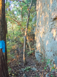 Down below the cliffs.