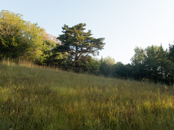 It's not all rock and cliffs.