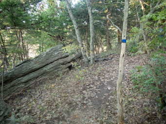 Some of the easier trail.