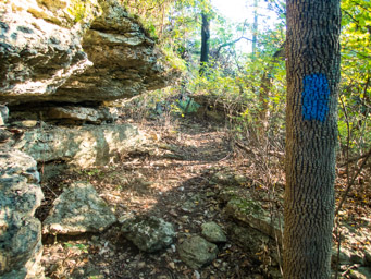 Trail winding through the limestone formations.