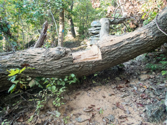 Step, courtesy of Steve S. and crew.