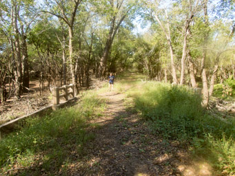 Dennis on the old bridge.
