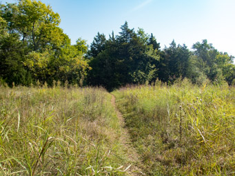 It'sl not all rocky trail.