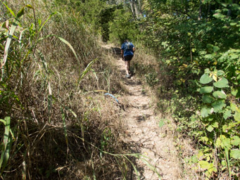 Climbing up Blue Loop Hill, near the end.