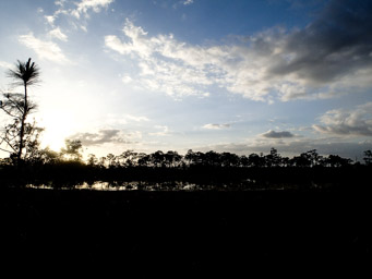 Sunrise in the JW Corbett WMA. Mud and Muck.