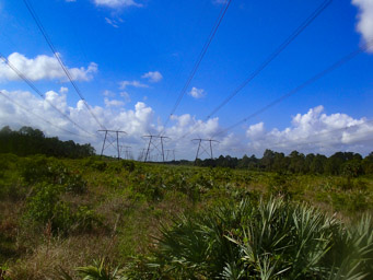 Powerlines Turnaround