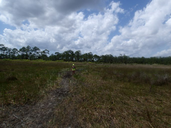 Hot day in the JW Corbett WMA