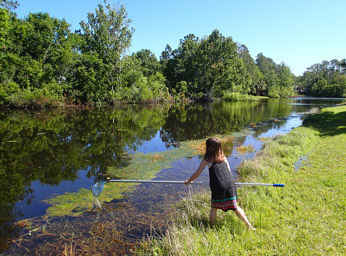 Catching Fish in canal, Palm Coast, FL