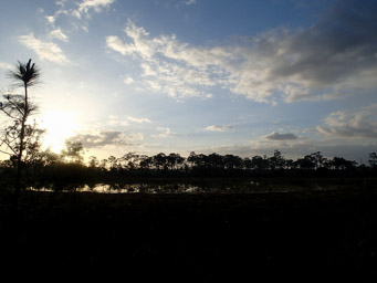 Sunrise in JW Corbett WMA