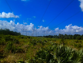 The Powerlines. Pretty massive.